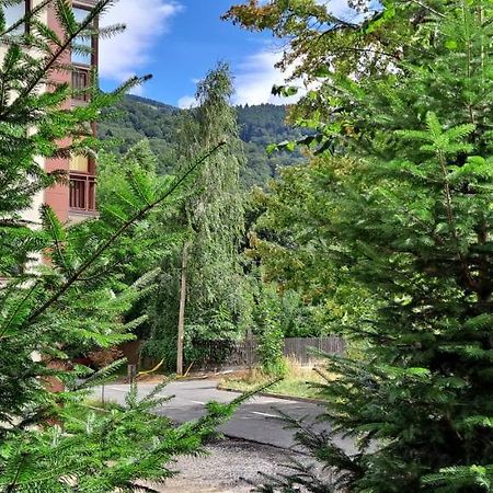 Sinaia Relax Residence 외부 사진
